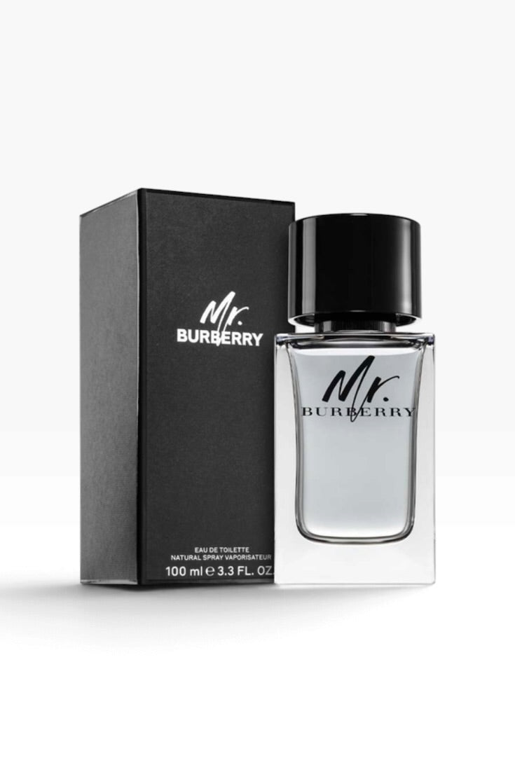 Urban Gentleman – Fresh Woody Spicy Perfume for Men