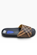 Desert Ember Graphic Slides