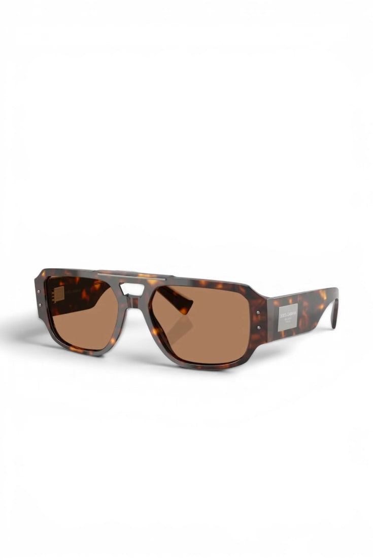 Tortoiseshell Angular Shield Frame