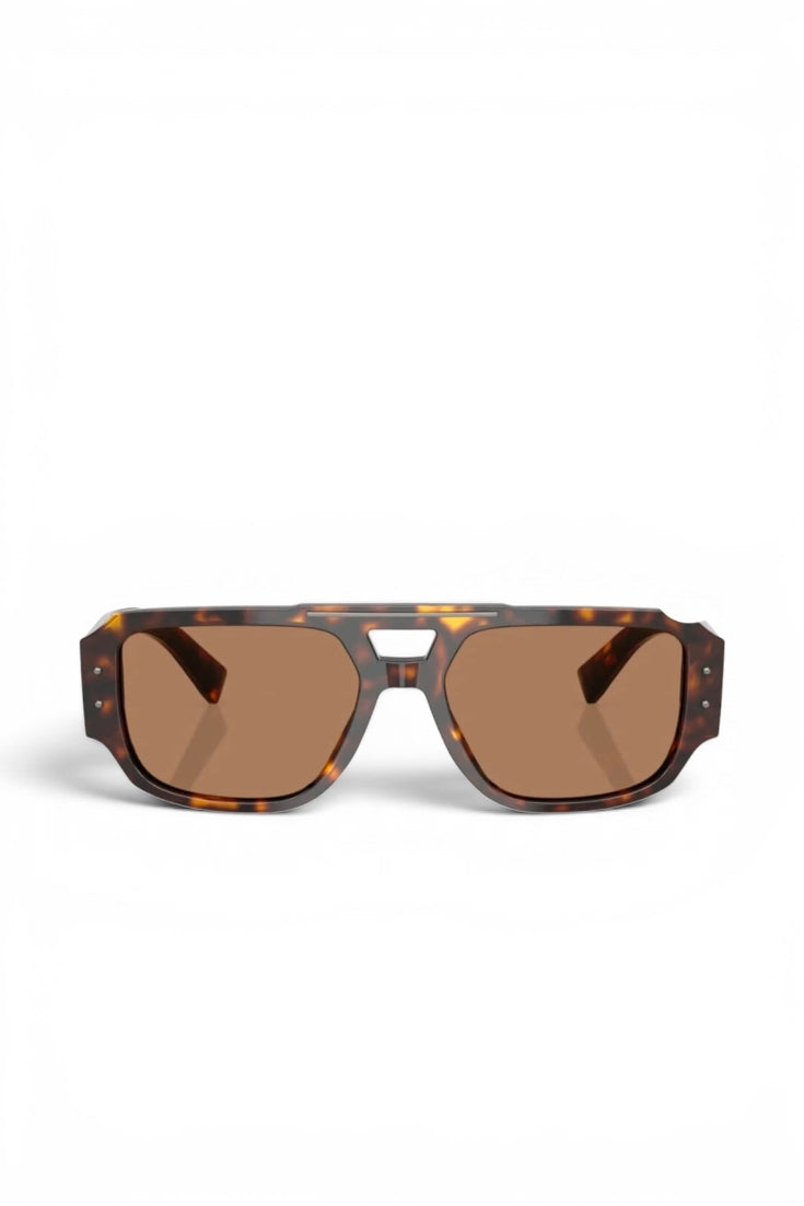 Tortoiseshell Angular Shield Frame